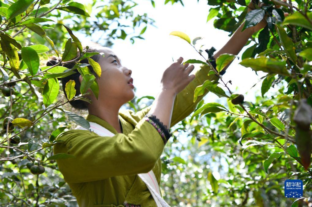 奔驰宝马游戏电玩城